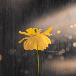 3d同人动画奥特之母大战贝利亚
